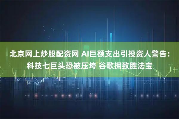 北京网上炒股配资网 AI巨额支出引投资人警告：科技七巨头恐被压垮 谷歌拥致胜法宝
