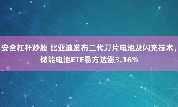 安全杠杆炒股 比亚迪发布二代刀片电池及闪充技术，储能电池ETF易方达涨3.16%