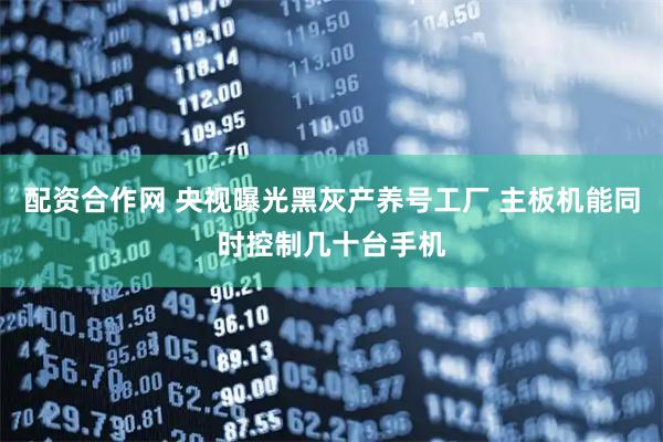 配资合作网 央视曝光黑灰产养号工厂 主板机能同时控制几十台手机