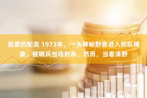 股票的配资 1973年，一头神秘野兽进入部队捕食，被哨兵当场射杀，然而，当看清野